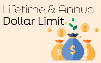What is the annual and lifetime dollar limit prohibition?