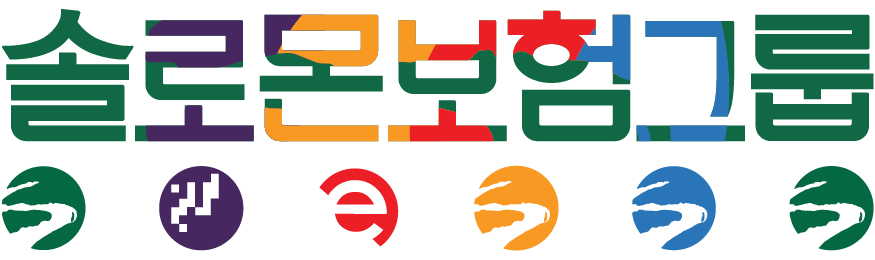 솔로몬보험그룹 로고